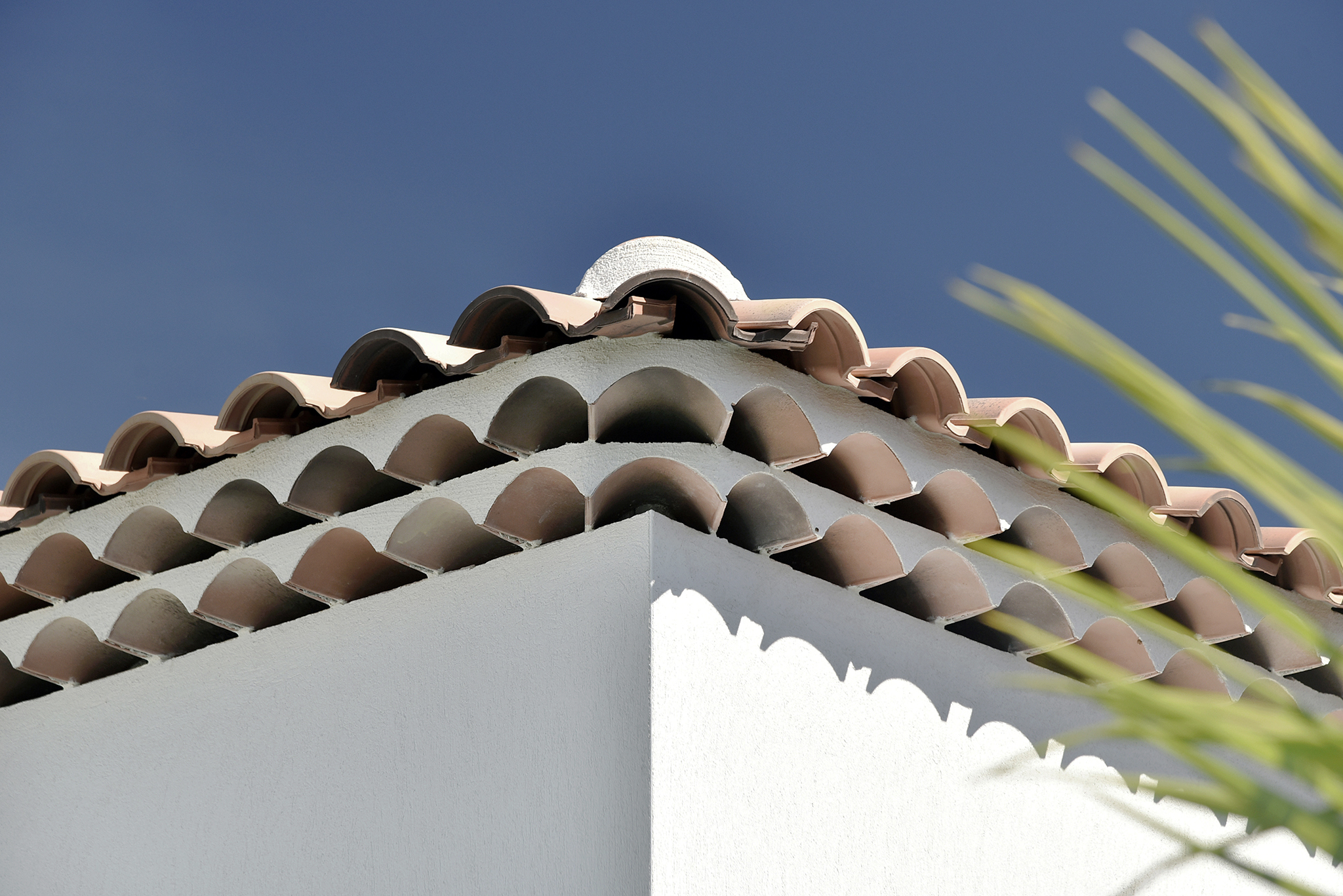 ARCHI RE WS 01771